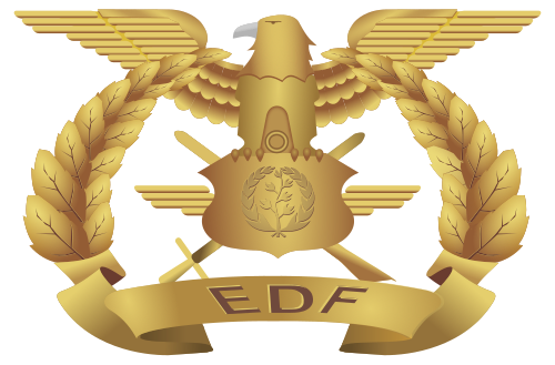 Eritrean Defence Forces